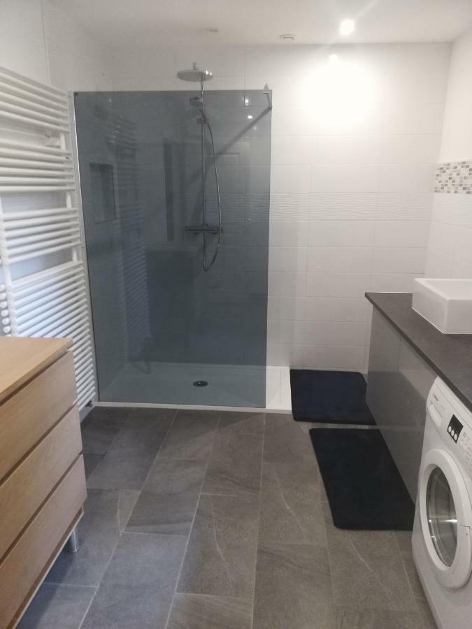 - Gite Appart Orchidee - Luneville - Sejour Famille Ou Pro - 2 Adultes & 2 Enfants Exterior foto